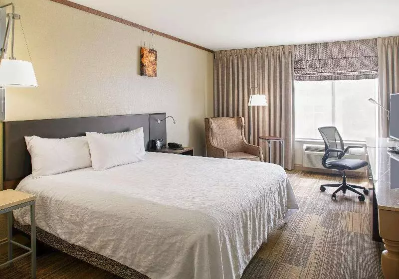 キングサイズベッドのスタンダードルーム, Hilton Garden Inn Bentonville Rogers
