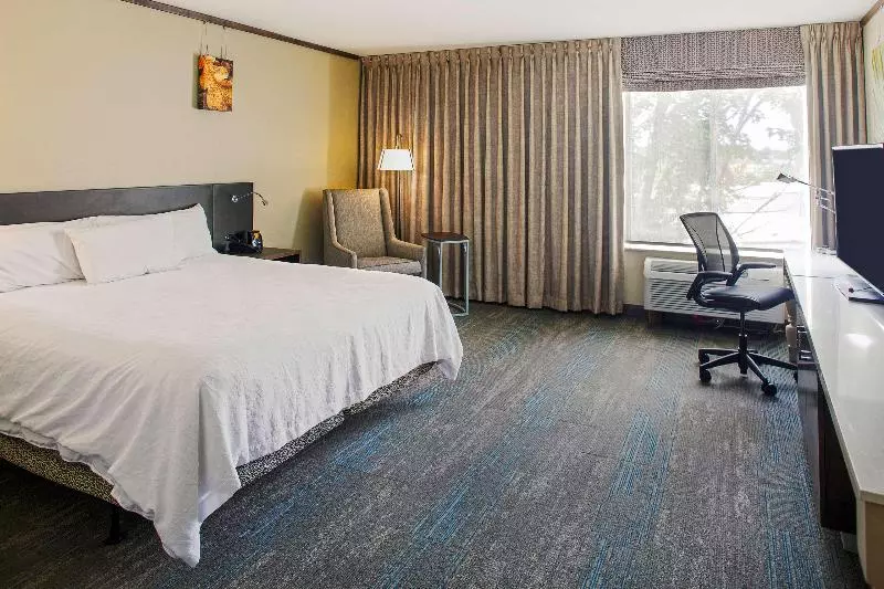 キングサイズベッドのスタンダードルーム, Hilton Garden Inn Bentonville Rogers