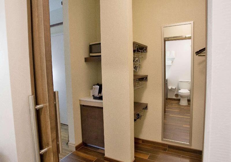 اتاق پرمیوم, Hilton Garden Inn Bentonville Rogers