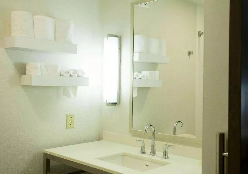 プレミアムルーム, Hilton Garden Inn Bentonville Rogers