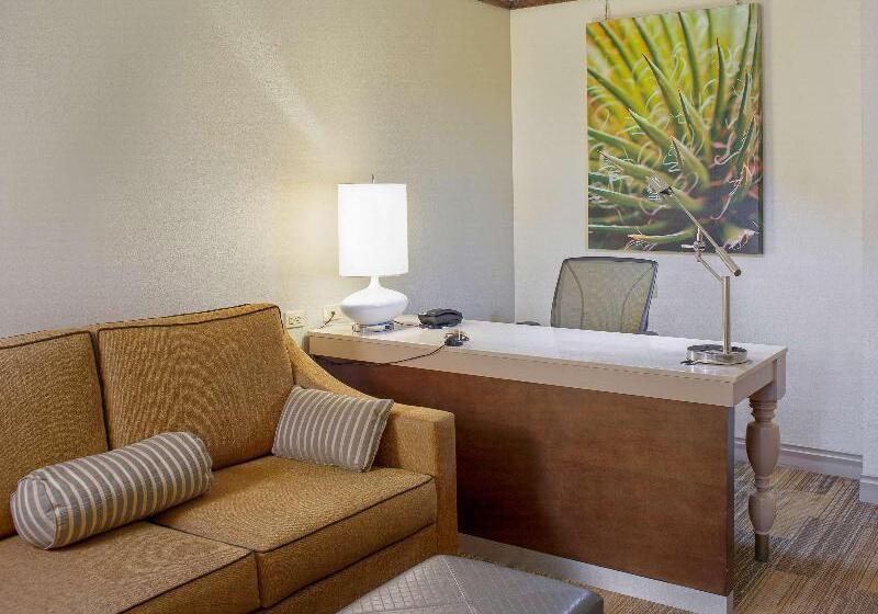 سوئیت با تخت بزرگ, Hilton Garden Inn Bentonville Rogers