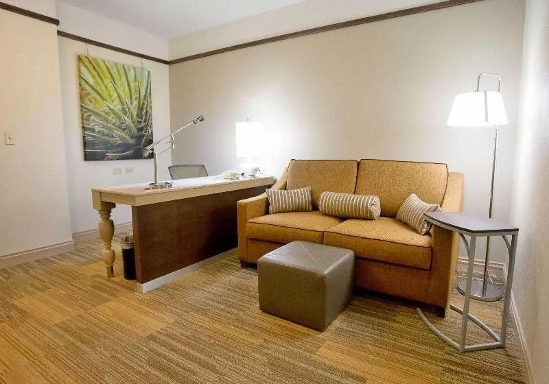 キングサイズベッドのスイートルーム, Hilton Garden Inn Bentonville Rogers