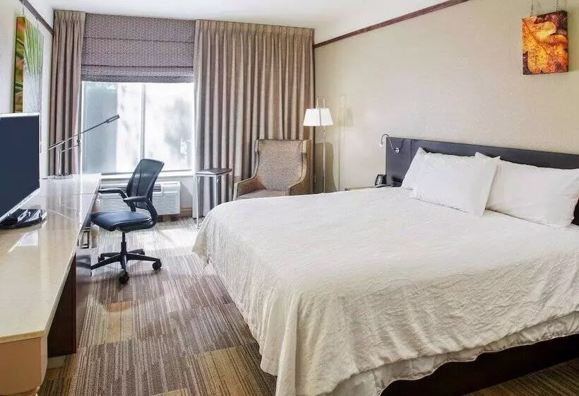 ジュニアスイート, Hilton Garden Inn Bentonville Rogers