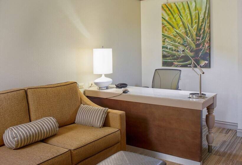 Полулюкс, Hilton Garden Inn Bentonville Rogers