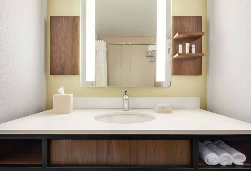 스탠다드 룸, Hilton Garden Inn Dubuque Downtown