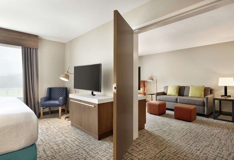 장애인을 위한 스탠다드 룸, Hilton Garden Inn Dubuque Downtown