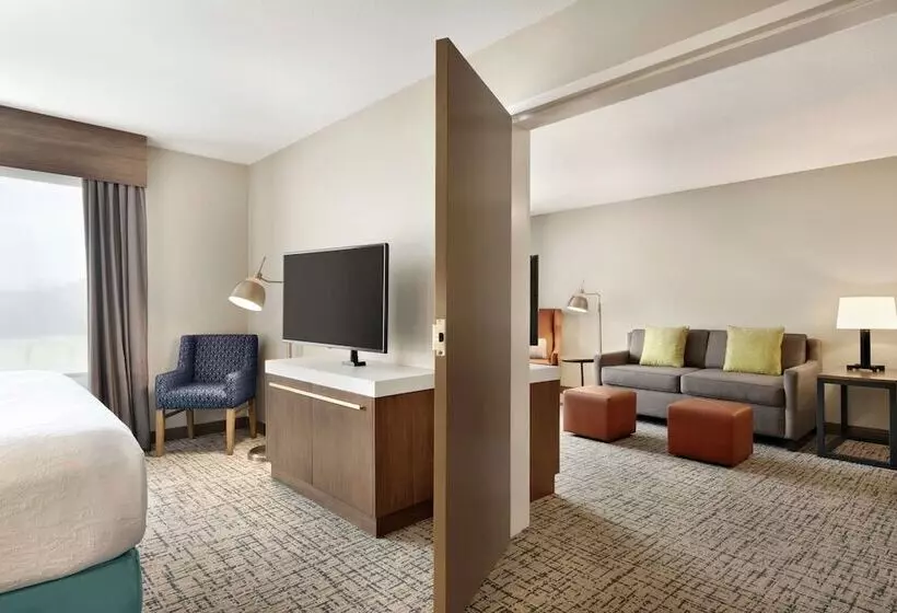身障者適用スタンダードルーム, Hilton Garden Inn Dubuque Downtown