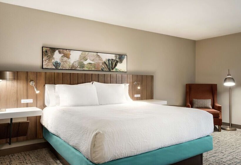 Standard Værelse Tilpasset til Handicappede, Hilton Garden Inn Dubuque Downtown