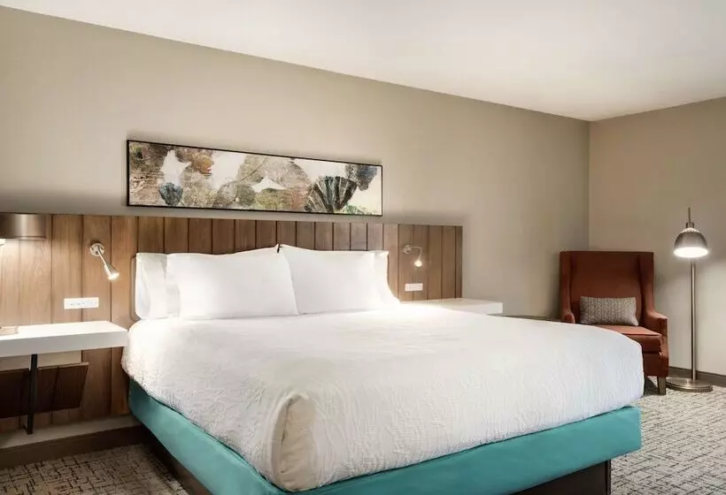 身障者適用スタンダードルーム, Hilton Garden Inn Dubuque Downtown