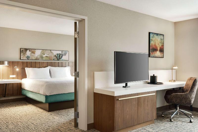 디럭스 스위트 킹 침대, Hilton Garden Inn Dubuque Downtown