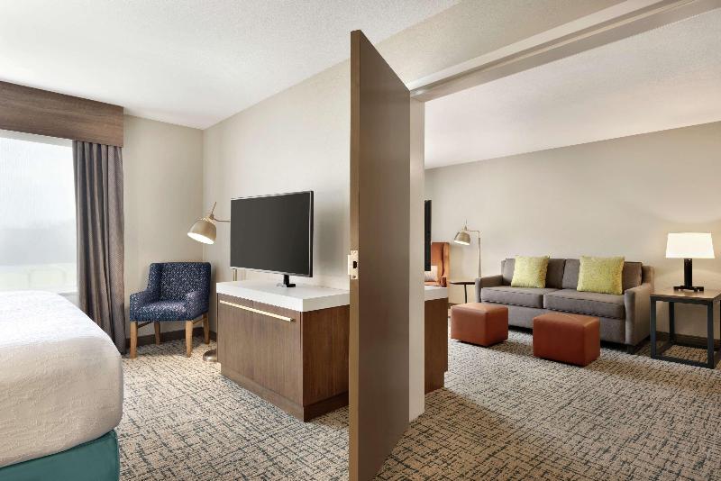 디럭스 스위트 킹 침대, Hilton Garden Inn Dubuque Downtown