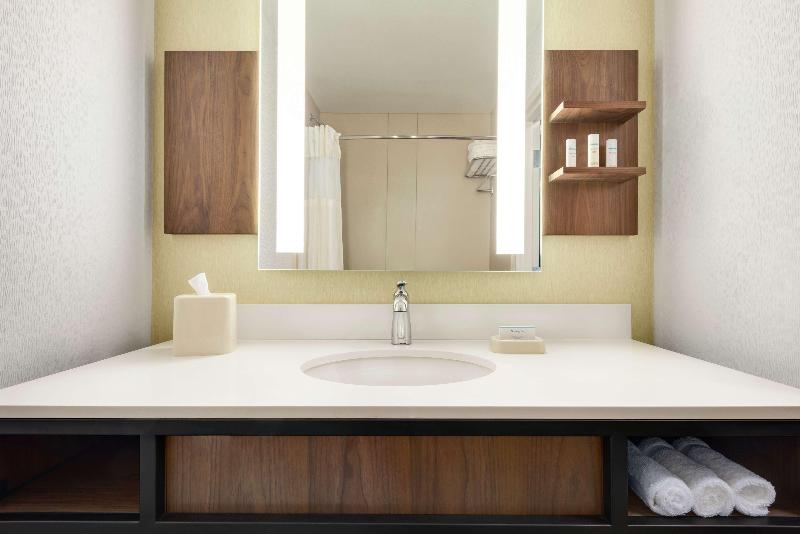 프리미엄 룸, Hilton Garden Inn Dubuque Downtown