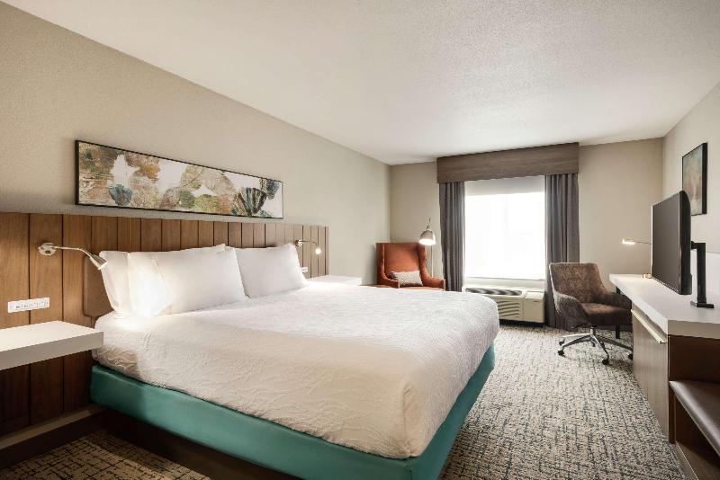 스탠다드 룸 킹사이즈 침대, Hilton Garden Inn Dubuque Downtown