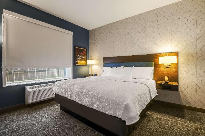 장애인을 위한 킹사이즈 침대 스탠다드 룸, Hilton Garden Inn Dubuque Downtown
