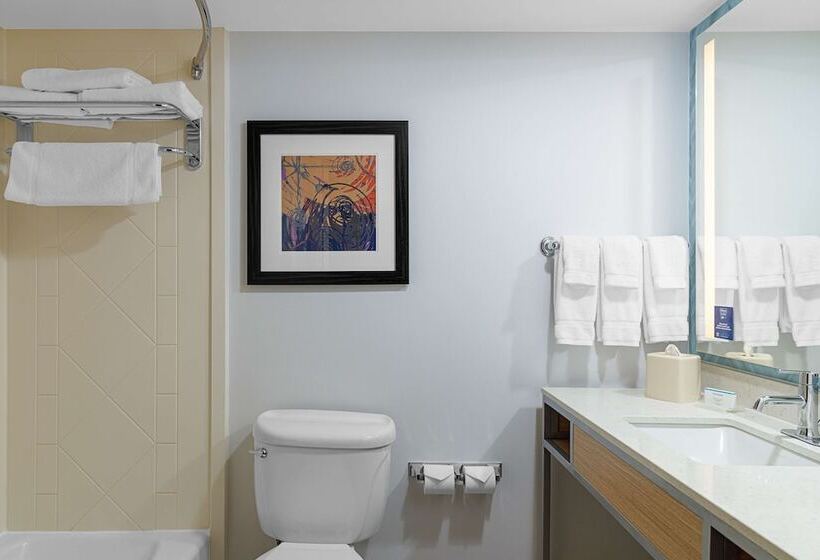 套房, Hilton Garden Inn Fredericksburg