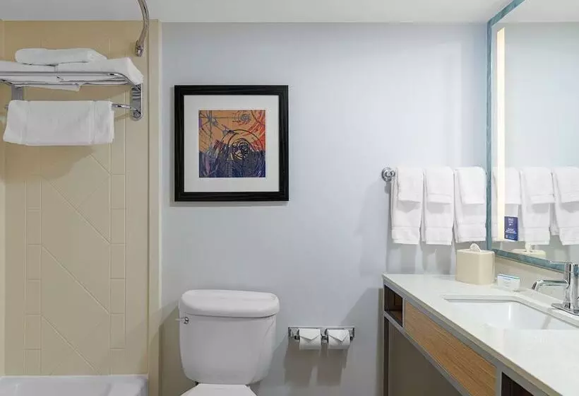スイート, Hilton Garden Inn Fredericksburg