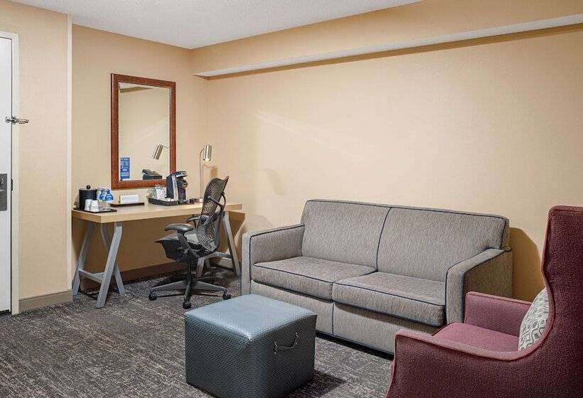 Люкс, Hilton Garden Inn Fredericksburg