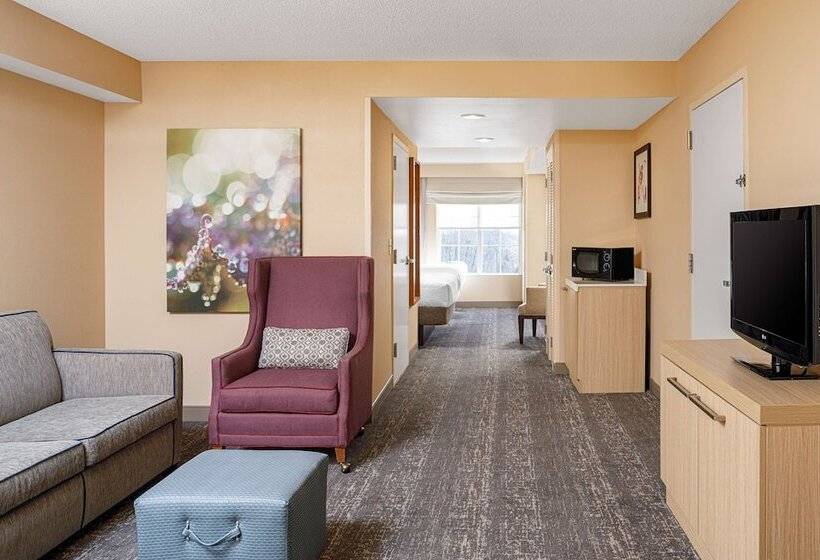 스위트, Hilton Garden Inn Fredericksburg