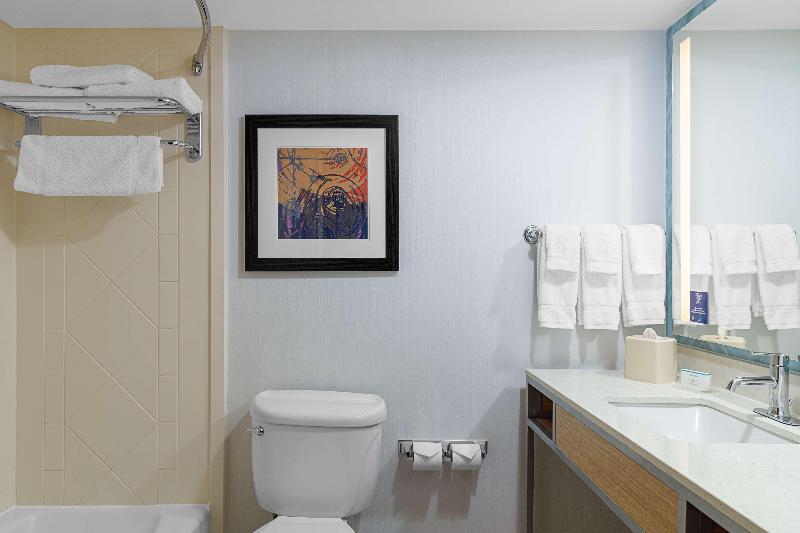 带大床的标准间, Hilton Garden Inn Fredericksburg