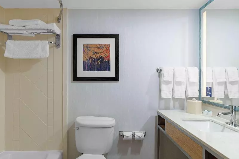 キングサイズベッドのスタンダードルーム, Hilton Garden Inn Fredericksburg