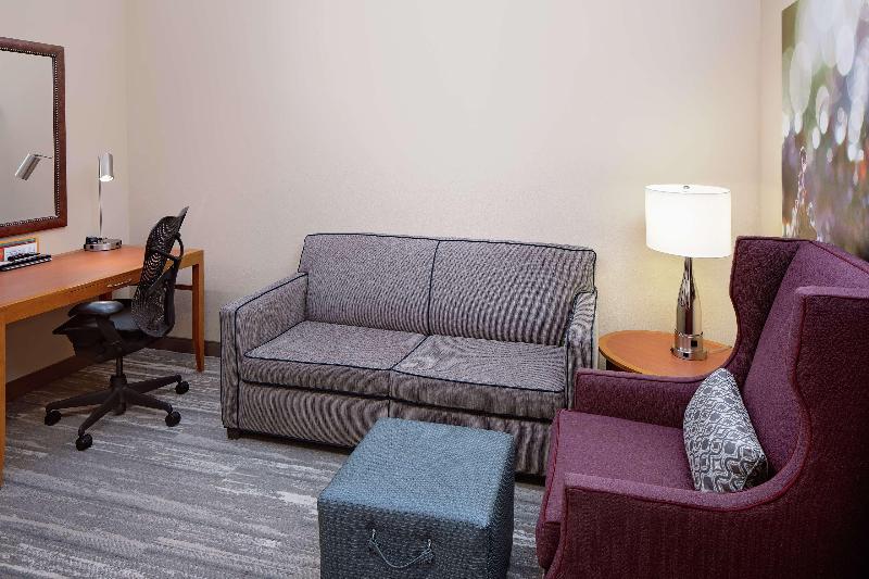 带大床的标准间, Hilton Garden Inn Fredericksburg