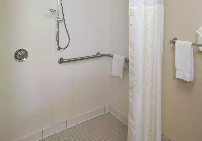 キングサイズベッドのスイートルーム, Hilton Garden Inn Fredericksburg