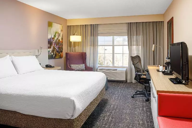 キングサイズベッドのスイートルーム, Hilton Garden Inn Fredericksburg