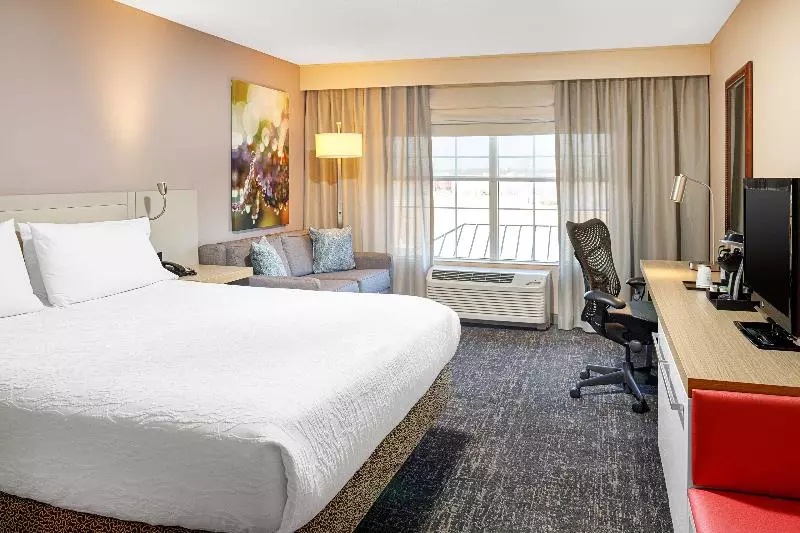 身障者適用キングサイズベッドルーム, Hilton Garden Inn Fredericksburg