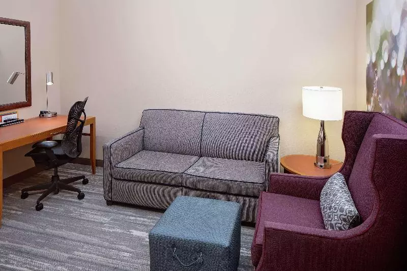 身障者適用キングサイズベッドルーム, Hilton Garden Inn Fredericksburg