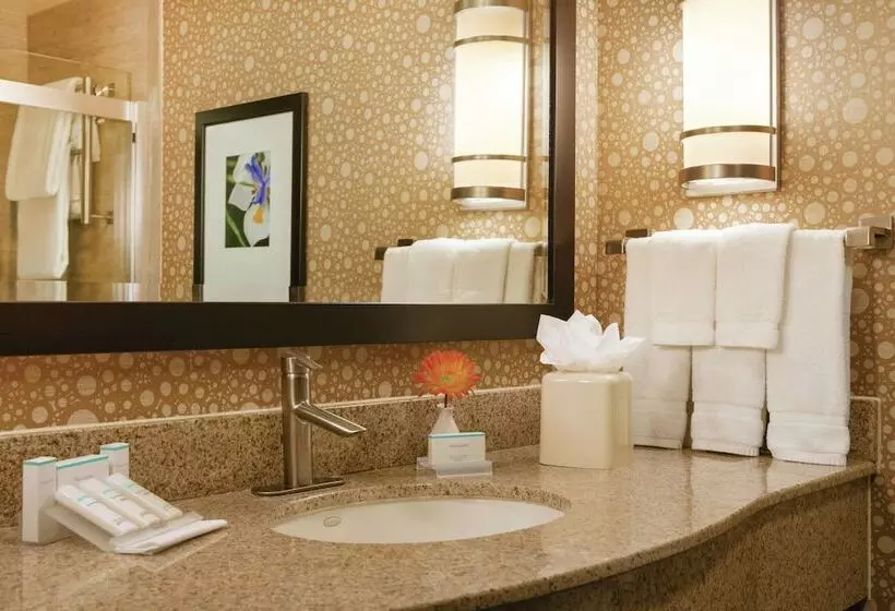 سوییت جونیور, Hilton Garden Inn Houston Nw/willowbrook