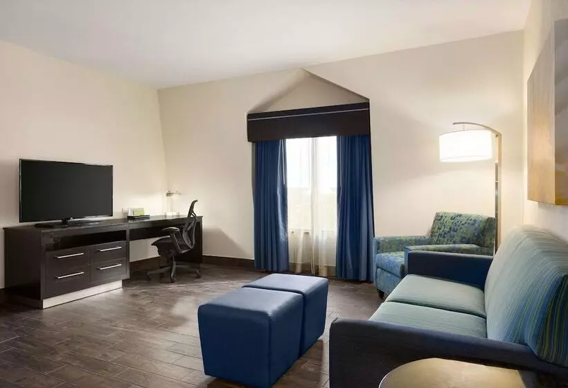 سوییت جونیور, Hilton Garden Inn Houston Nw/willowbrook
