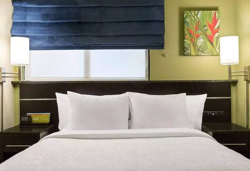 سوییت جونیور, Hilton Garden Inn Houston Nw/willowbrook