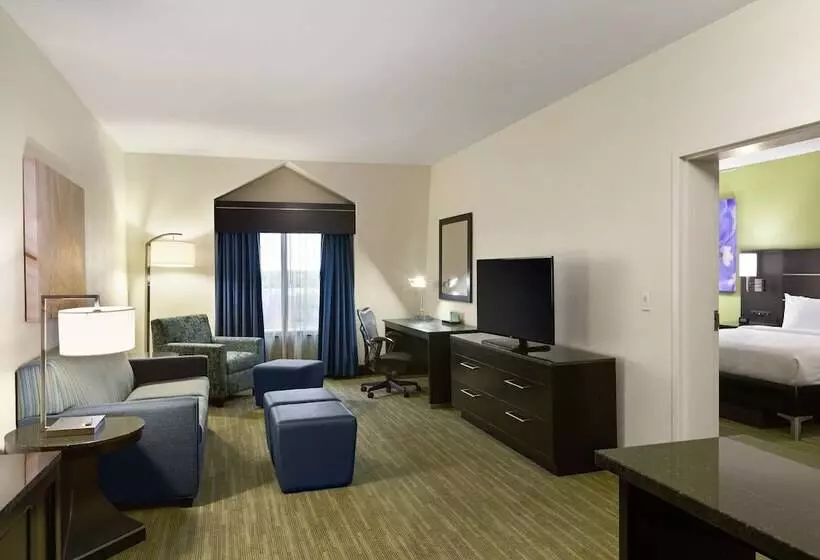 سوییت جونیور, Hilton Garden Inn Houston Nw/willowbrook