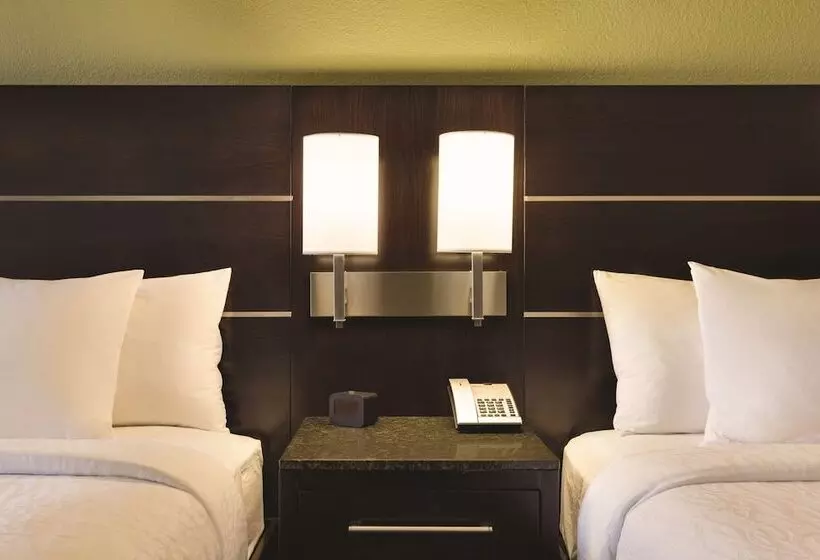اتاق استاندارد با 2 تخت دوبل, Hilton Garden Inn Houston Nw/willowbrook