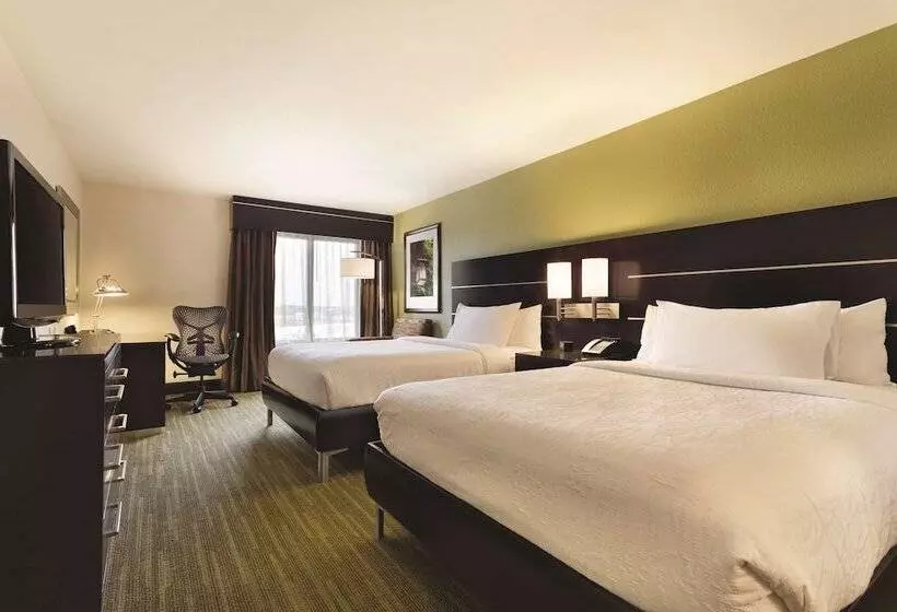 اتاق استاندارد با 2 تخت دوبل, Hilton Garden Inn Houston Nw/willowbrook