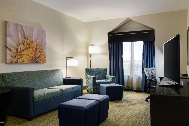 Номер Премиум, Hilton Garden Inn Houston Nw/willowbrook