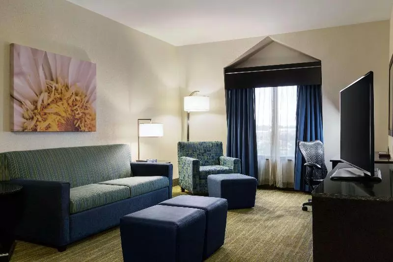 اتاق پرمیوم, Hilton Garden Inn Houston Nw/willowbrook