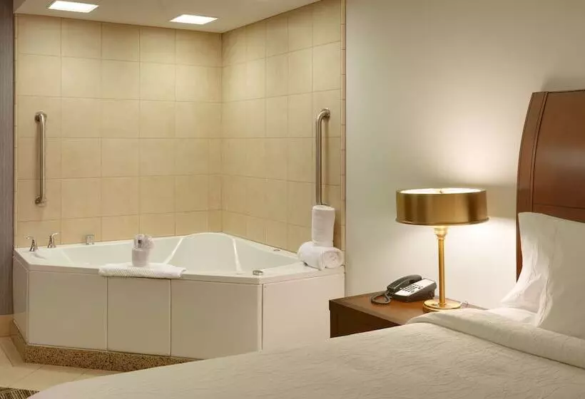 身障者適用スイートルーム, Hilton Garden Inn Salt Lake City/sandy