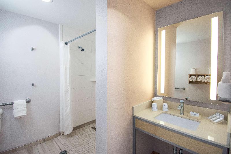 سوئیت با تخت بزرگ, Hilton Garden Inn South Bend