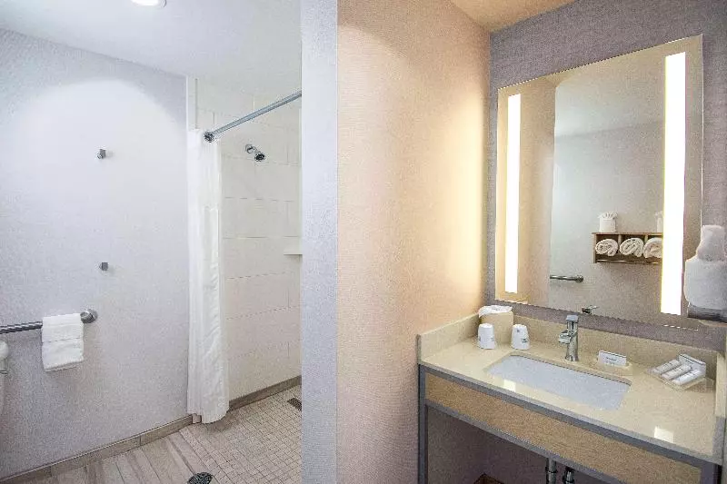 Sviitti King-vuode, Hilton Garden Inn South Bend