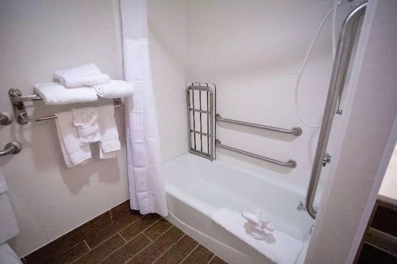 اتاق استاندارد با تخت بزرگ, Hilton Garden Inn Temple Medical Center