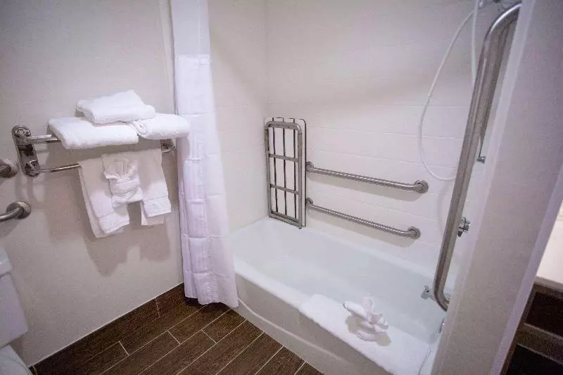 اتاق استاندارد با تخت بزرگ, Hilton Garden Inn Temple Medical Center
