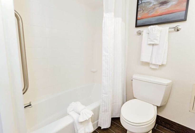 스탠다드 룸, Hilton Garden Inn Temple Medical Center
