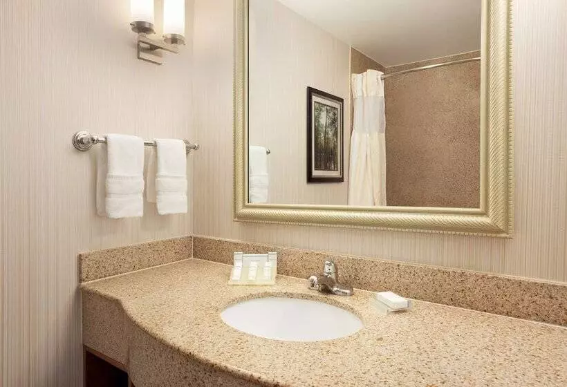 スタンダードルーム, Hilton Garden Inn West Monroe