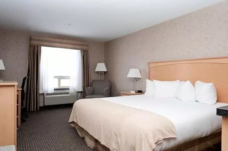 キングサイズベッドのスタンダードルーム, Paradise Inn And Suites