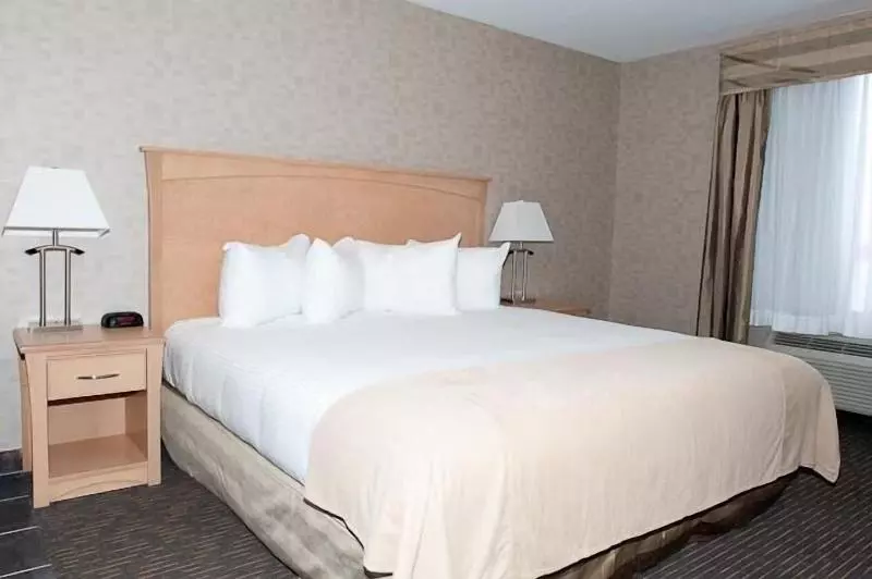 キングサイズベッドのスタンダードルーム, Paradise Inn And Suites