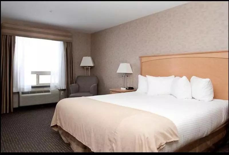 キングサイズベッドのスタンダードルーム, Paradise Inn And Suites