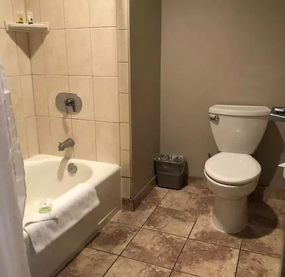 اتاق استاندارد با تخت بزرگ, Shilo Inn Killeen