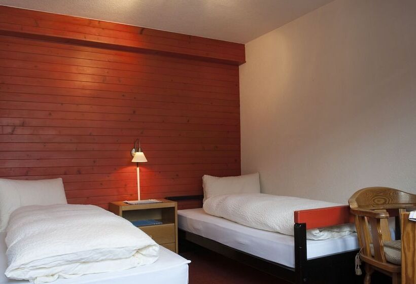 اتاق استاندارد یک نفره, Tenne