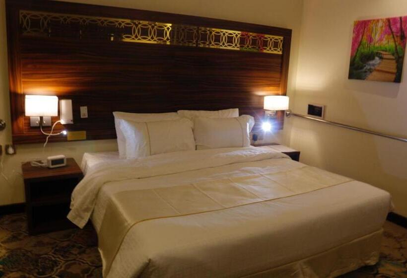 غرفة ديلوكس سرير كينج, Central Park Hotel Bisha